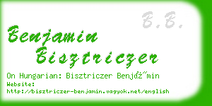 benjamin bisztriczer business card